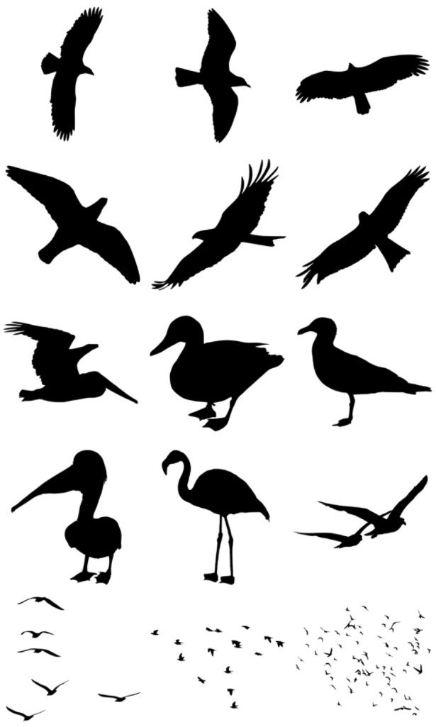 Birds Silhouettes