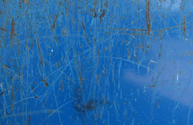 Dirt and Grunge Textures